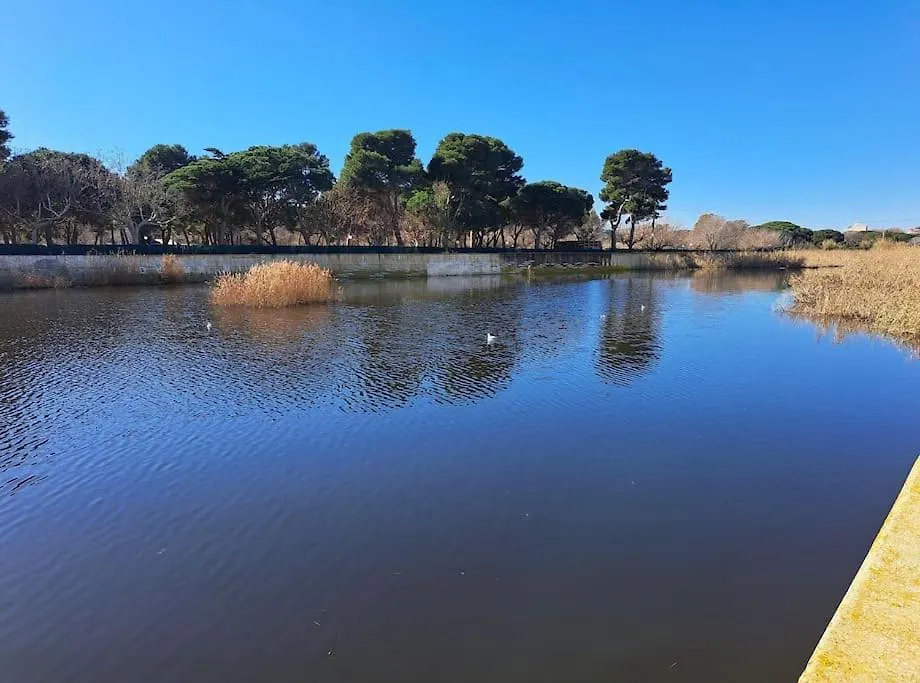 Apartamento A 50 Metros De La Playa. Platja d'Aro Apartment
